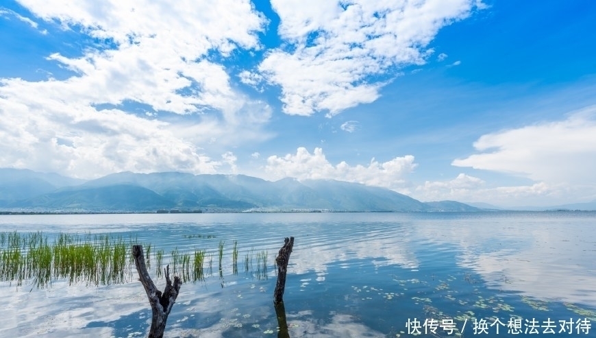 中年|洱海边最美的免费公园,非这座公园莫属