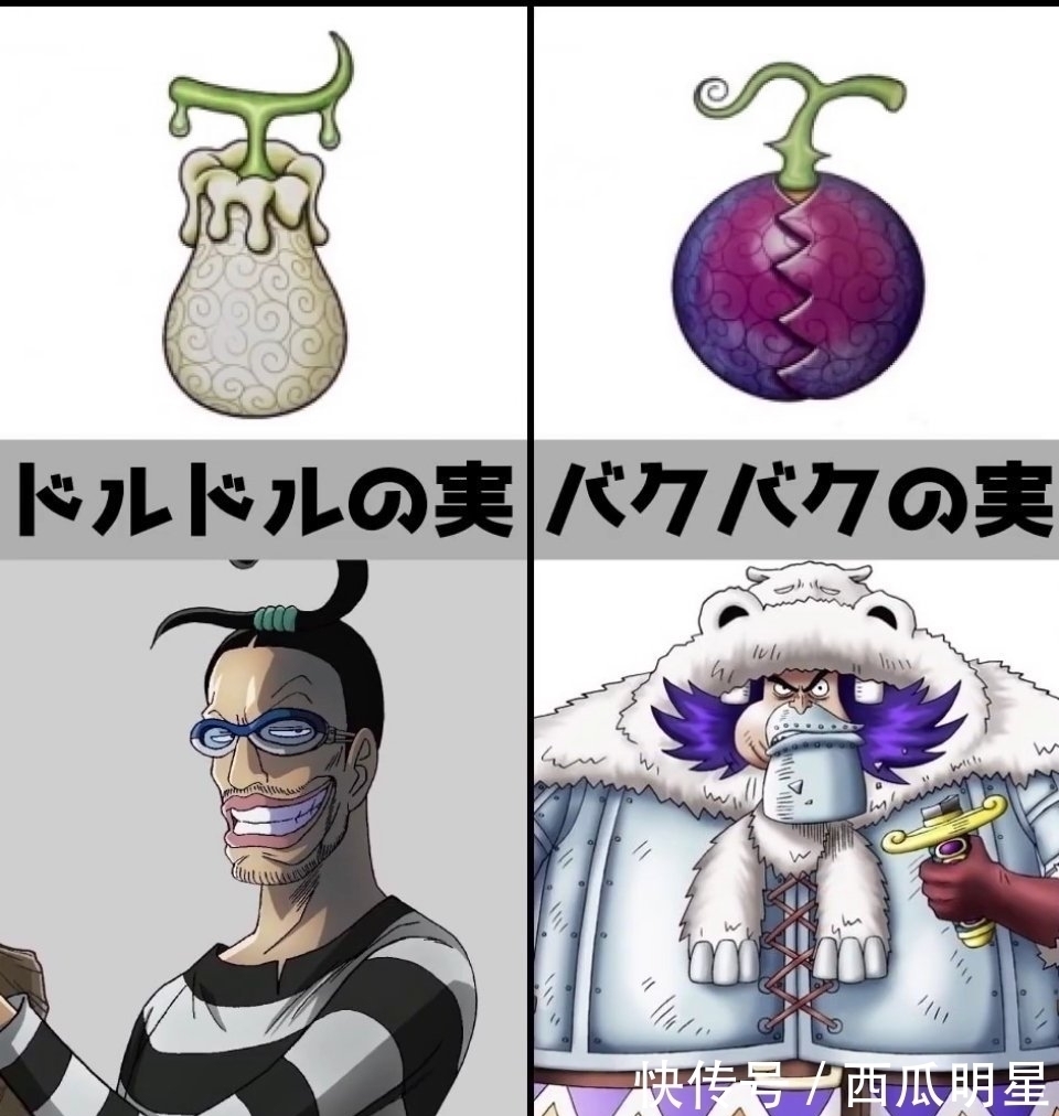 人人果实|《海贼王》恶魔果实,你最想拥有哪种?花花果实最漂亮