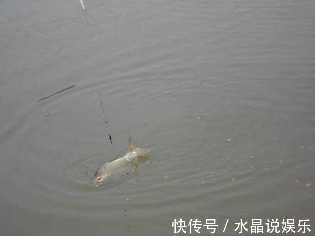 挤压处|怎样辨别鱼线的好坏老钓友教你几招,别再傻傻的被渔具老板骗了