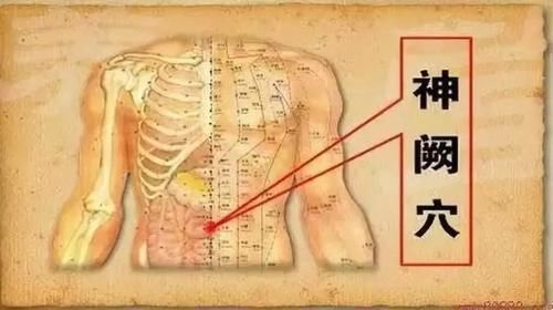 足少阴肾经|腹为阴,背为阳按摩5穴,让你的腹柔软、背常暖