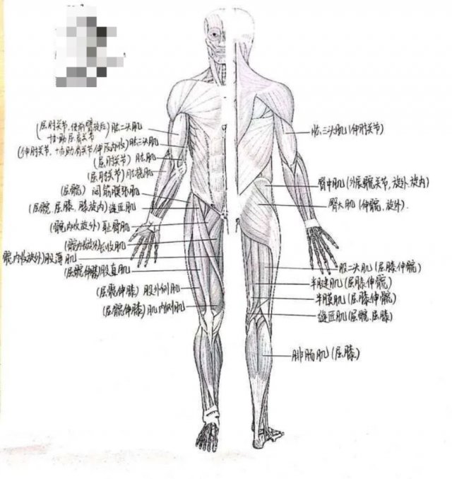 美术学院！笔记届的“神仙打架”！网友：行，我直接换双手吧