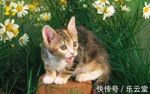 |幽默笑话:公司新来一美女领 导,看起来有点冷,大家都有点怕她