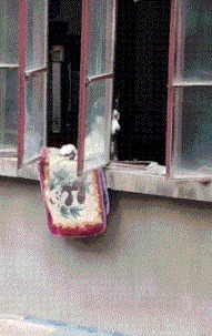 |搞笑GIF趣图:这就是当今流行的广场舞,广场不再是大妈的天下了