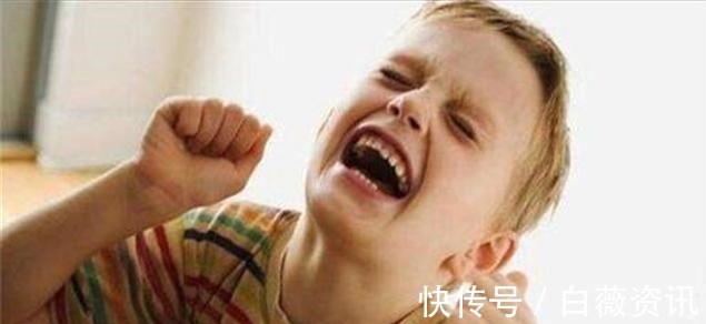 孩子|白岩松:情商比智商更为重要,常对孩子说这4句话,娃情商不会低