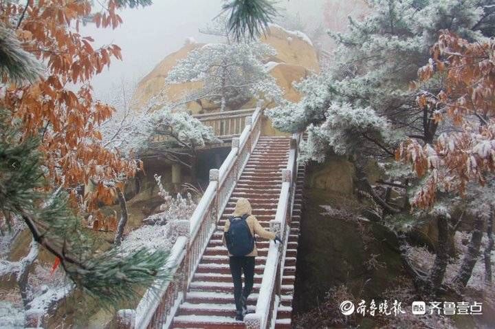 老年|新泰新甫山迎来牛年首场降雪，银装素裹似仙境