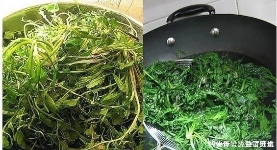好吃|用它包饺子馅你肯定没吃过，比肉馅好吃，常吃提神醒脑！