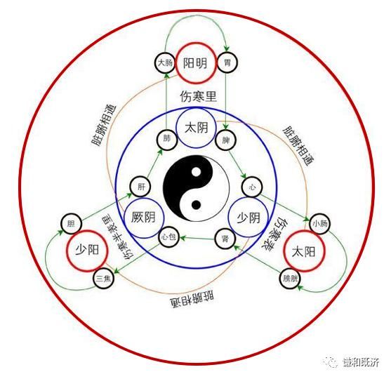  表里的关系|心与小肠互为表里，心是阴火，小肠是阳火