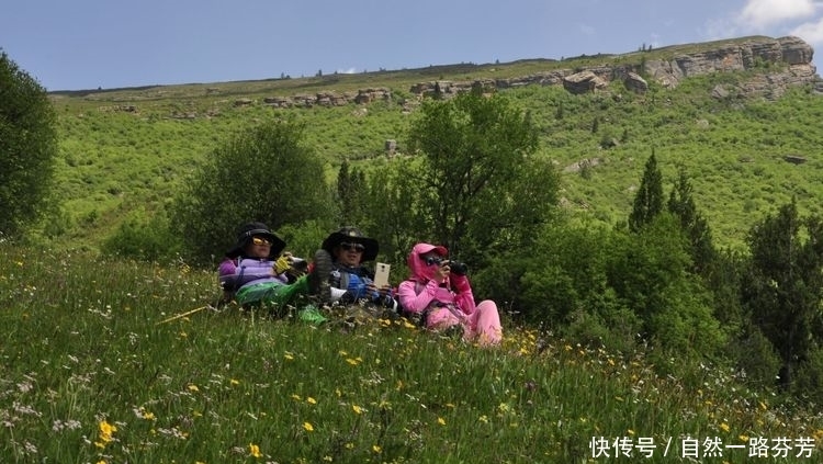 迭部|迭部措美，不忍错过的美丽