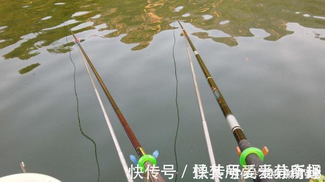 “垃圾钓鱼人”什么样有下面1种就可担此名,有人甚至4种占全