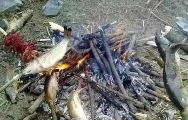 才能|只有农村孩子才能吃到的“野味”,现在没人敢吃,吃货:贴钱也不吃!