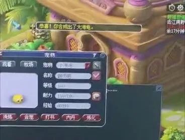 神马|年内第一只神马童子？文韬武略11+15暴力炼妖！小梅沙龙九哥低调曝光！