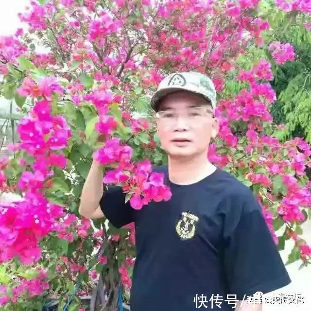 七绝《庚子冬日咏梅寄情》十二首辉叔