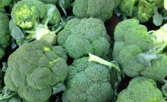  食物|女性担心老太快，学会多吃3种食物，补血养颜，改善体质