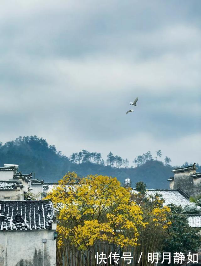 古村落|适合小住三五天的绝美古镇，和当地人一起享受慢生活