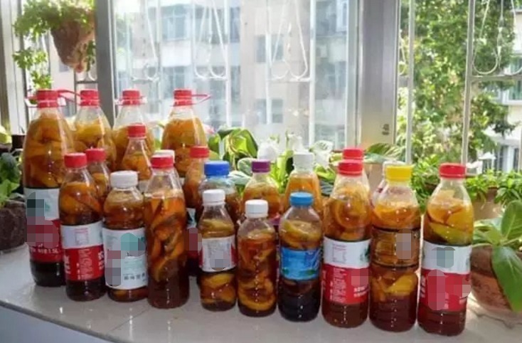 橙皮养花不能直接用，制成水肥使，1月1次，植物有精神