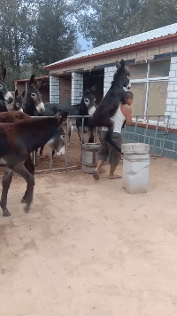 |搞笑GIF:小兄弟你这口罩从哪买的,我想给我女朋友也买一个