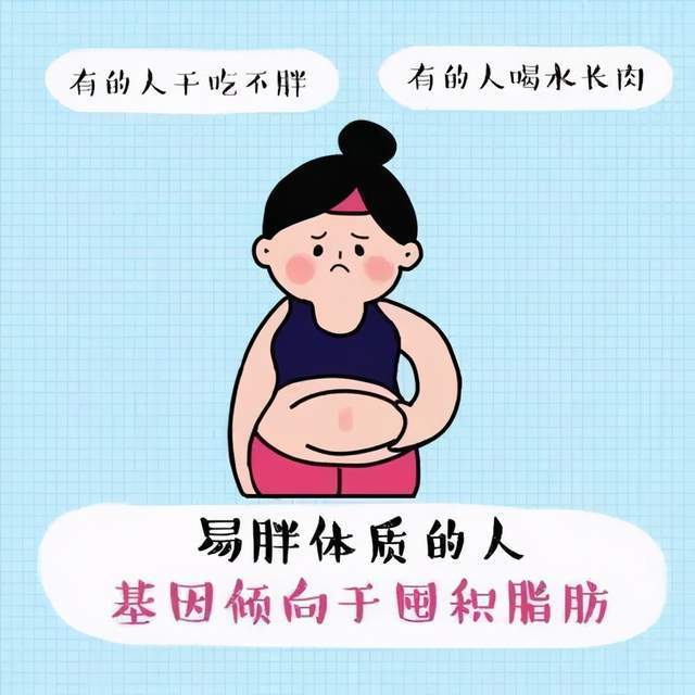 基础代谢|常有6个表现,说明是“易胖体质”,坚持做好4件事,也能瘦下来