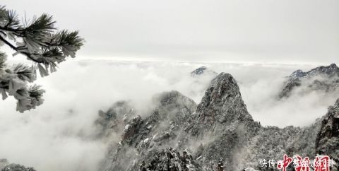 黄山|安徽黄山风景区迎入冬首场大雪