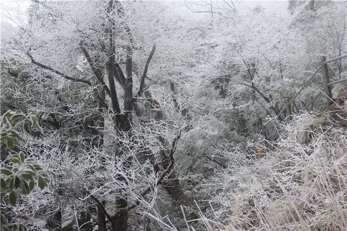 雪景|广东这几个地方这周可能会下雪，雪景最漂亮在这几个地方