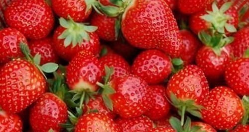 牛奶汁|想长寿要先养肝,3种食物离不开,排毒养颜,早吃早健康!