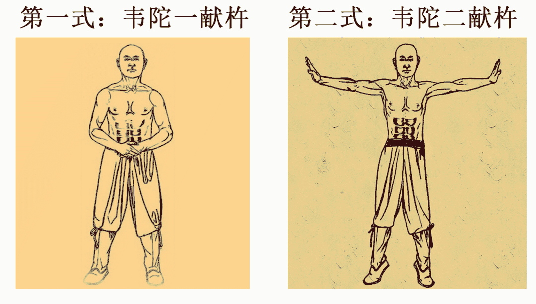 健身|一起学!做完八个动作 畅通全身血气