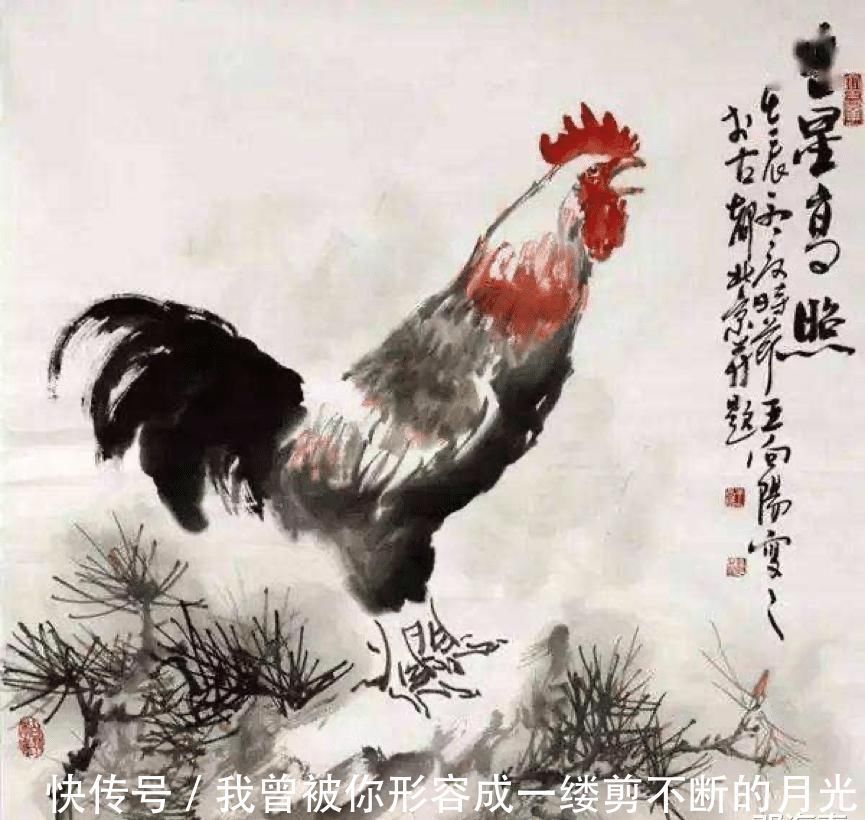 咏鹅|老农模仿《咏鹅》作《咏鸡》获大奖,网友跃跃欲试,纷纷脑洞大开