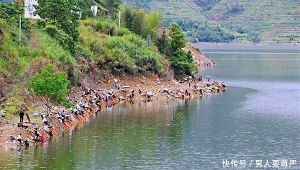 夏季钓水库，钓点选择的几个方向，这里鱼儿成群，下竿就咬钩