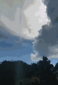 |搞笑GIF:突然感觉不对劲 以后再也不穿裙子帮人推车了