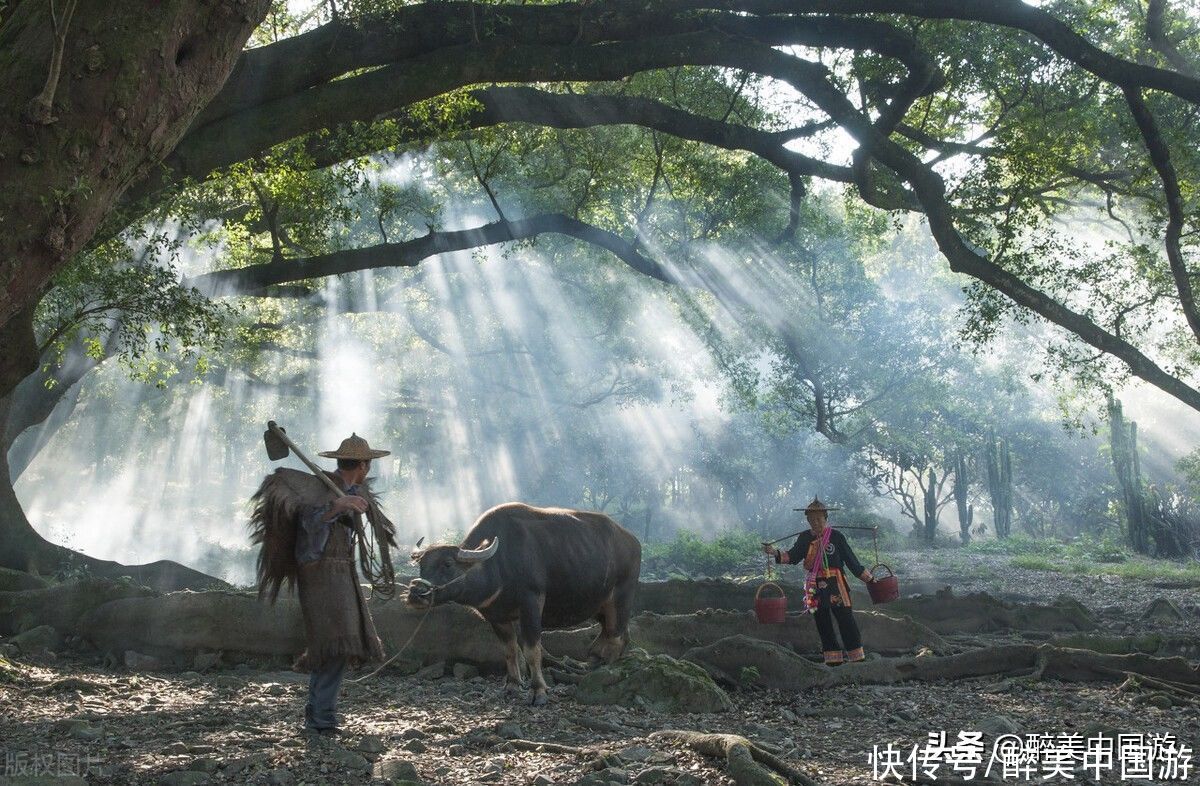 五一佳节来临之际，这3处景点适合一个人去旅游，总有1处适合你