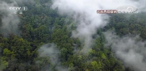 感受大美中国的锦绣山河|假期赏美景 | 美景