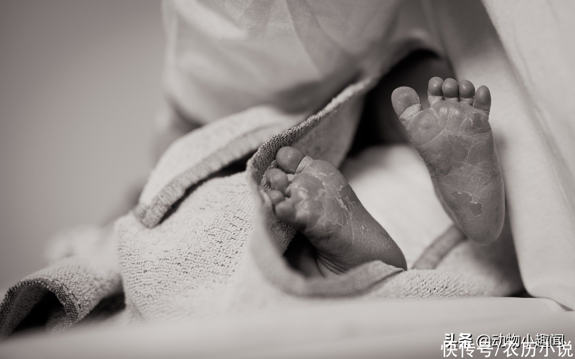 大学生宿舍|女大学生宿舍生娃,男方淡定回应,这是第二胎