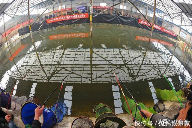 钓场|“因为蹭窝，他往水里丢了块砖”，黑坑最易引发矛盾的3件事