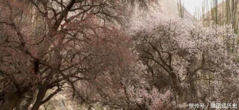 这位|宋朝这位诗人典型的诗红人不红,但一首诗却是流芳百世,成为名篇