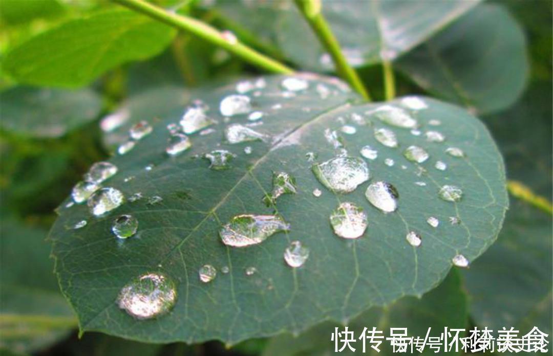 雨夜@宋朝诗人张咏这首七绝《雨夜》，同样写得很孤独，道尽了思乡之苦