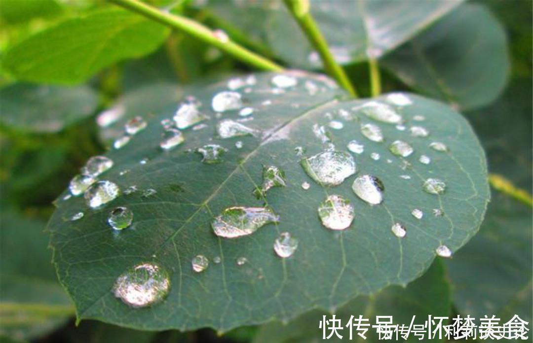 雨夜@宋朝诗人张咏这首七绝《雨夜》,同样写得很孤独,道尽了思乡之苦