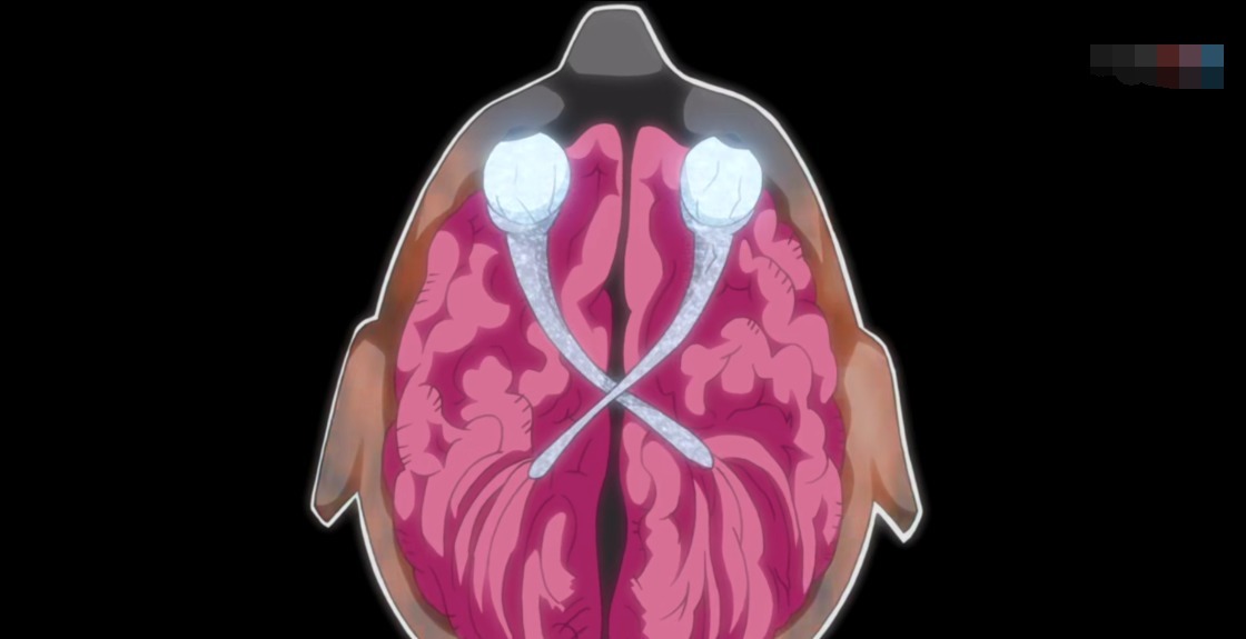 宇智波|火影忍者二代火影明知道宇智波更信奉爱，为何还说他们天生邪恶