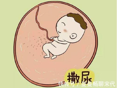 肚子|子宫黑漆漆,胎儿会无聊吗这些“游戏”玩得可溜了