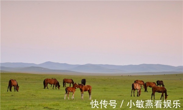 牧歌|初秋走进草原深处，聆听白云、碧草、河流奏响美妙牧歌