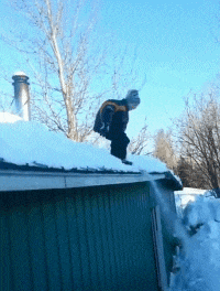 |搞笑GIF段子:就佩服这话作死却一往无前的勇气