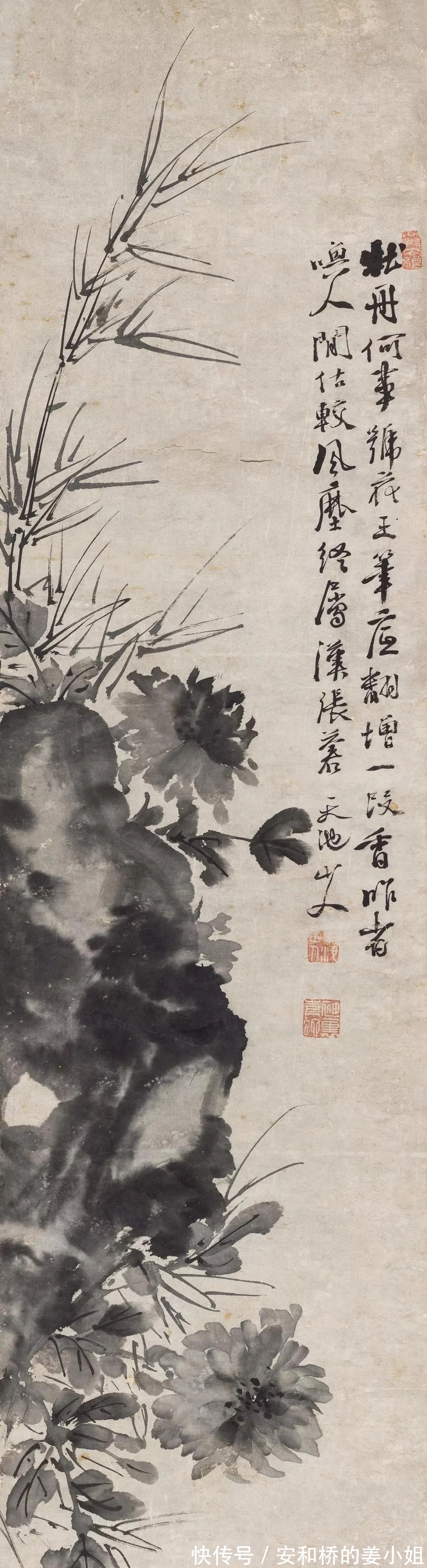 芭蕉！花鸟画一代宗师｜徐渭画竹，当在青藤之后，芭蕉之上，你认为呢？