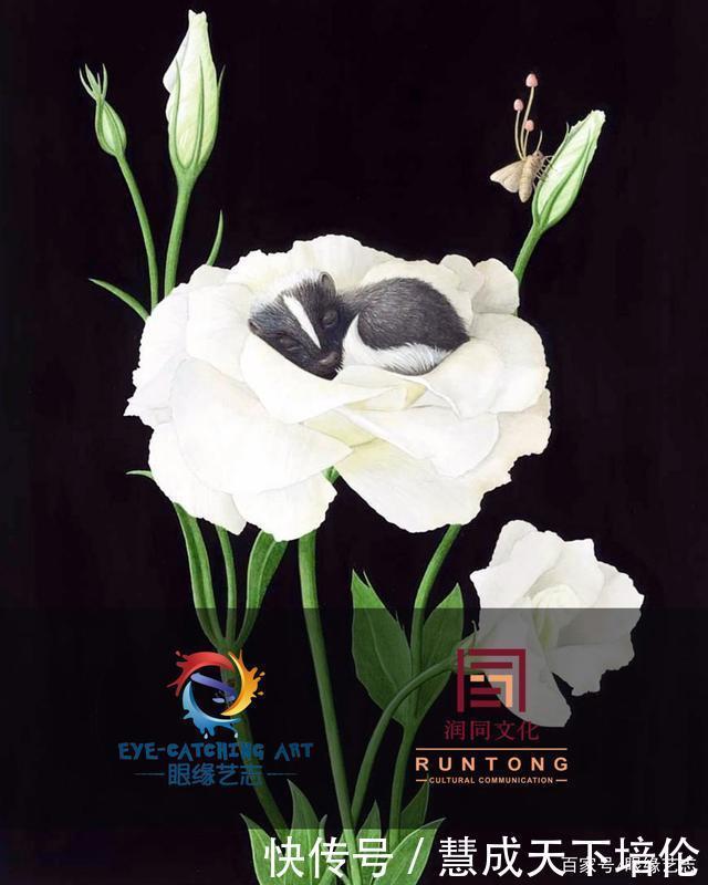 感恩|博齐奇的自然幻境异想天开的科学艺术,感恩生命的生物美学