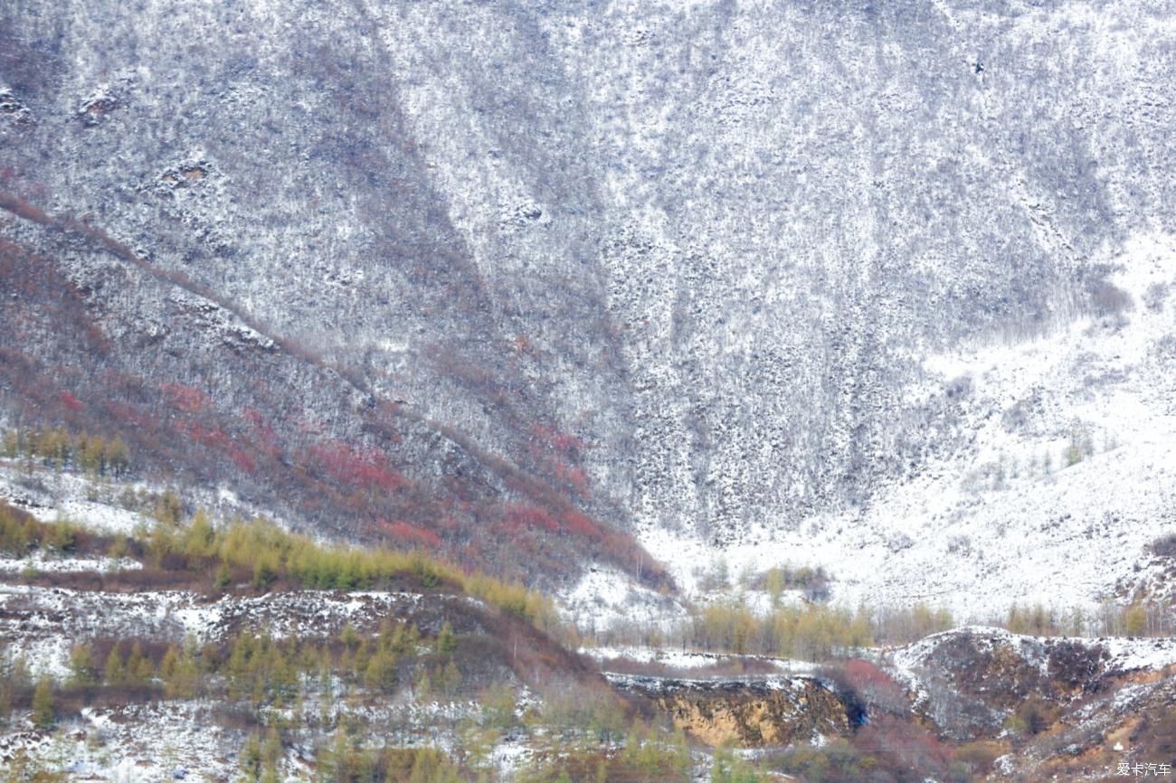 追逐“山海情”脚步从闽宁一路下到“苦瘠甲天下”的西海固