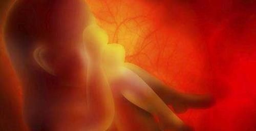 分娩|宝宝头部被剖腹产划伤,凭啥不算“事故”院方的回应很有道理