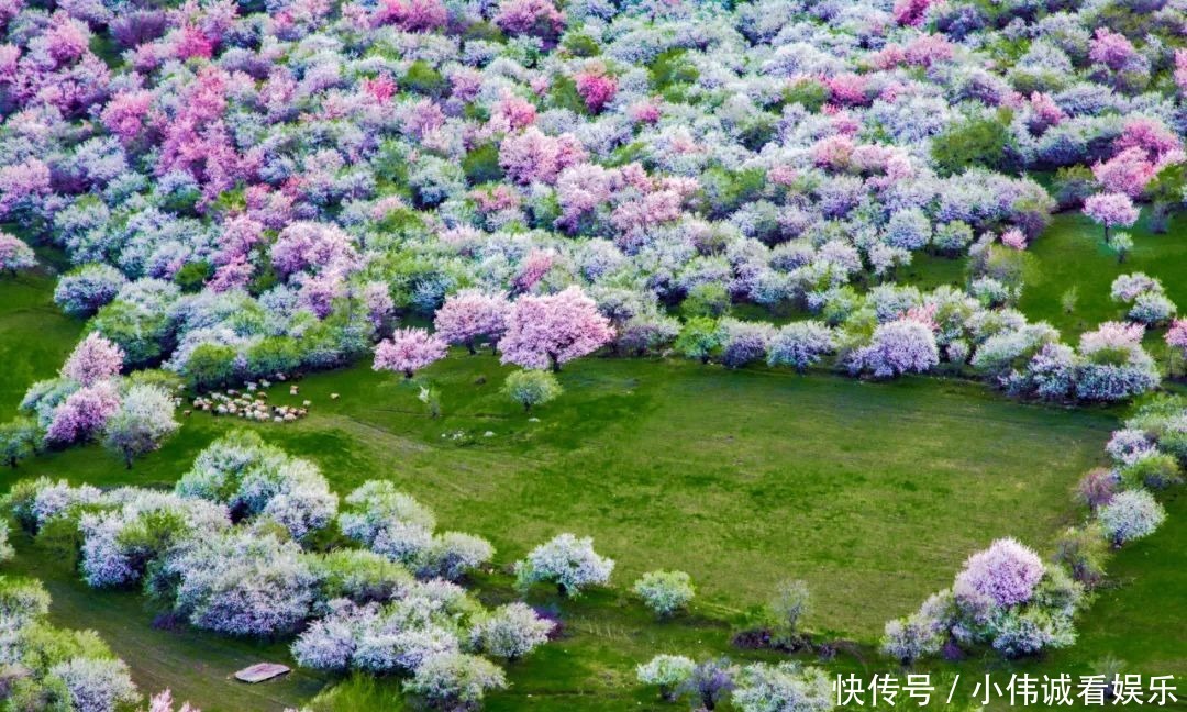 人间仙境杏花沟