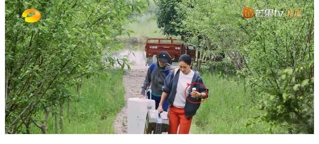 奧特曼|《向往的生活》來客人，本以為會是勞動力，沒想到是兩個吃貨