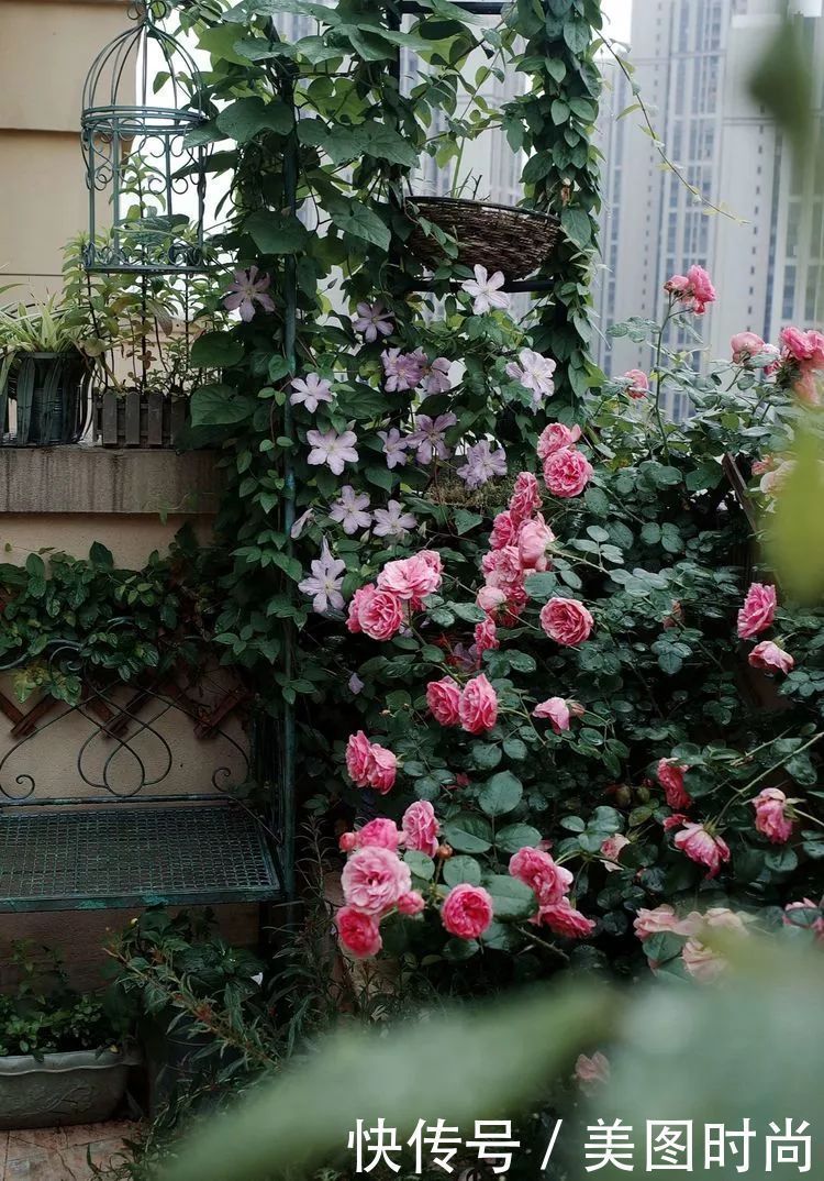 130㎡大露台,花1年改造成“花草蔬果园”,体验屋顶上的田园生活