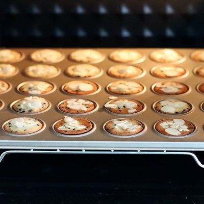 薄脆饼干|杏仁黑芝麻薄脆饼干