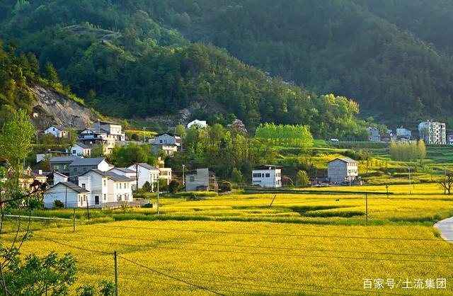 宅基地|申请永久有偿退出耕地和宅基地,你符合这些条件吗去哪里办理
