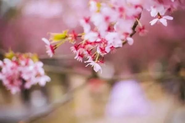 春季传染病预防知识看这篇就够了