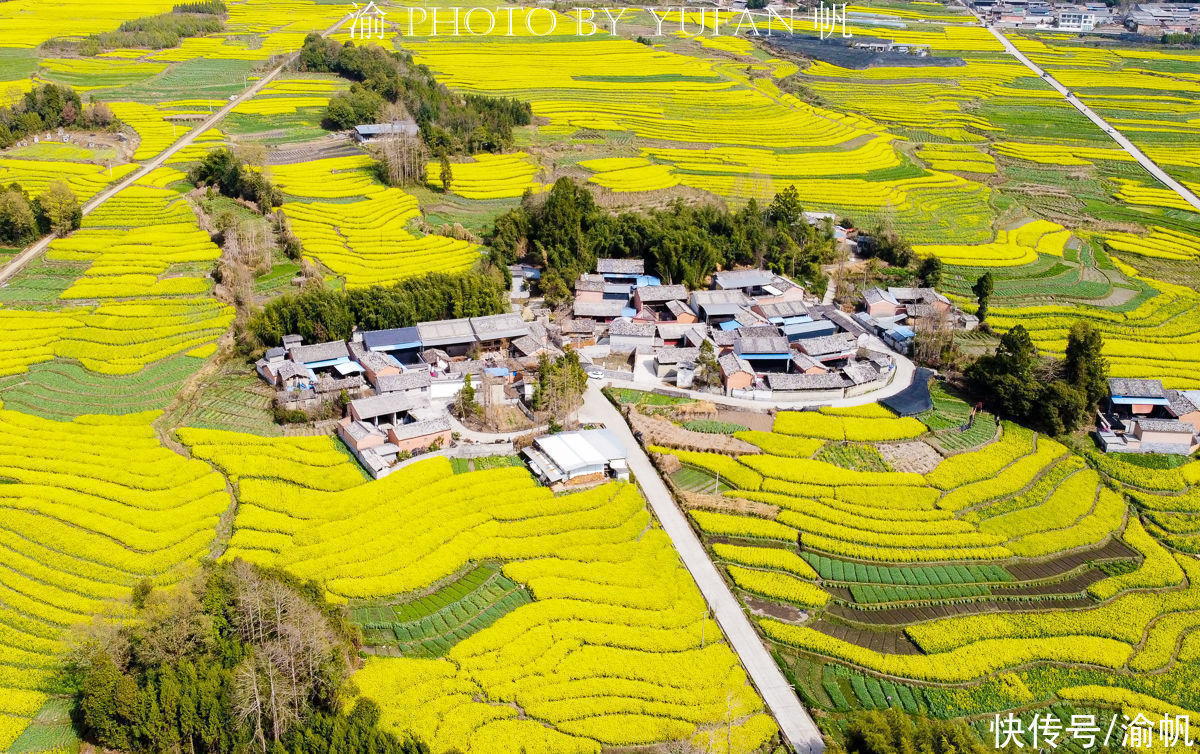 高黎贡山|中缅边境有片15万亩的花海，不逊罗平婺源，无需门票却鲜为人知